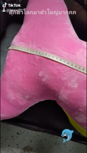 ตุ๊กตาโลมาน่ารัก ตัวใหญ่นุ่มละมุนมากจ้า ตุ๊กตาปลา ตุ๊กตาสัตว์น้ำ 130เซนติเมตร พร้อมส่งจ้า