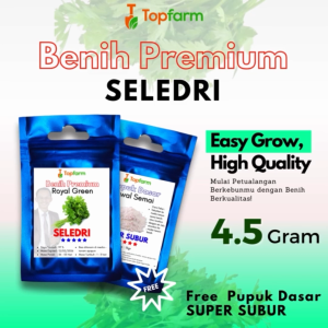 Benih Seledri Terbaik: Tips dan Trik