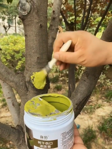 500g Tree Wound Bonsai Cut Paste Smear Agent Pruning Compound Sealer with Brush