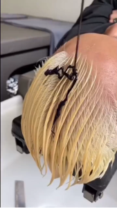 Dầu gội tím khử vàng KARSEELL Silver Shampoo 500ml | Dầu Gội Khử Vàng Giữ Màu Cho Tóc Nhuộm Sáng Tóc Tẩy