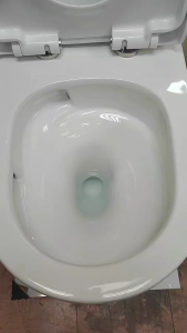 (READY STOCK) Baron W898 One Piece Toilet Bowl (TORNADO FLUSH)