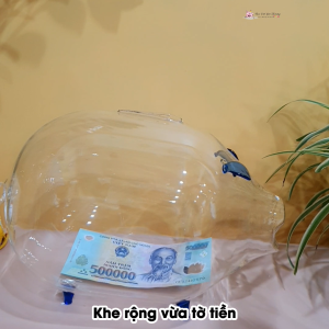 Lợn thủy tinh tiết kiệm size 2 và size 3
