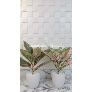 Pohon Imitasi Tanaman Artificial Daun Aglonema Lipstick Variasi Hijau & Pink Pot Melamine Pajangan Ruangan Studio Aesthetic