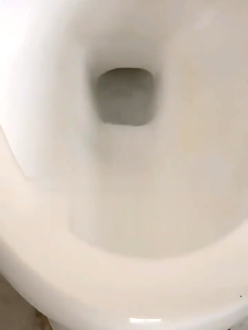 Cleaning Effervescent Tablet Pembersih Toilet Serbaguna 1 Box Isi 12pcs / Toilet Stain Removal Multifungsi Pembersih Kloset Penyegar Pewangi WC / Penghilang Bau Toilet DMO A35