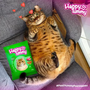 Happy Tummy Dog 800gr Makanan Anjing Kering