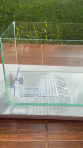 ที่พักเต่า บรรไดเต่า สีใส มีที่ใส่อาหาร สำหรับเต่าญี่ปุ่นเต่าขนาดเล็ก