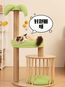 Cai-Cai 4in1 กรอบปีนแมว คอนโดแมว กรอบปีนแมว เสาลับเล็บแมวได้ ที่รับเล็บแมว ของเล็บแมว เสาลับเล็บแมว แข็งแรง