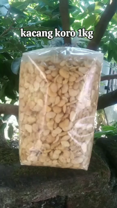 KACANG KORO KUPAS 1KG KACANG MERSI TERMURAH