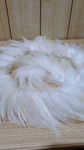 DIY Arts & Crafts Feathers | Pantay | 8-13cm | Natural White Color
