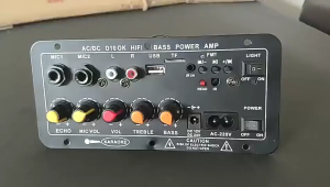 【🔥HCM/24H】Chất lượng âm thanh HD 220V 12V kỹ thuật số bảng khuếch đại Bluetooth Loa siêu trầm micro D10