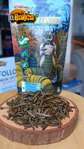 ULHONG BARCA Ulat Hongkong Kering Grade A Xtra Tinta Cumi Spirulina Pakan Pelet Ikan Reptile