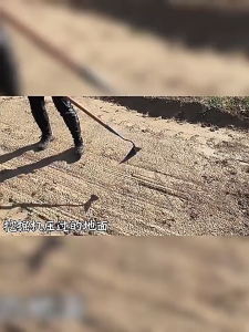 Ditch hoeing ridge hoeing triangular hoe ditch opener loosening soil tip hoeing and fertilizing farmers Ditching shovel