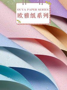20pcs | Two-color Flower Paper Bouquet Wrapping Paper Wrapped Flower Paper