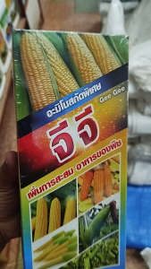 อะมิโนพืช จีจี อะมิโนสกัดพิเศษ 1ลิตร เพิ่มขนาด เพิ่มน้ำหนัก โตเร็วใช้ได้ทั้งทางใบ ฮอร์โมนสำหรับพืช ขิง หอม กระเทียม พืชตระกลูหัว 100 ราคา