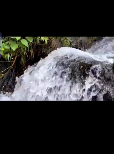 Forged kitchen knife household kitchen chopping knife bone chopping knife commercial bone chopping knife