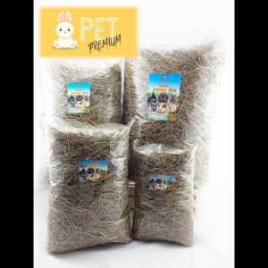 หญ้าแพงโกล่า 120 กรัม by pet premium หญ้ากระต่าย หนูแกสบี้ แฮมเสตอร์ เฟอร์เรท ชินชิล่า แพรี่ด๊อก เต่าบก