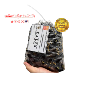 ราคาพิเศษเมล็ดปาล์มคาลิก600จำนวน100เมล็ดมีแถม(รับประกันทุกเมล็ด)การันตีงอก(มีใบรับรองสายพันธุ์เมล็ดคัดคุณภาพ)
