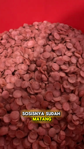 Cemilan Keripik Sosis Goreng Food Kriuk Renyah Nikmat Bumbu Rempah Pedas Gurih Daun Jeruk Kemasan 400 Gram Sosis Ayam