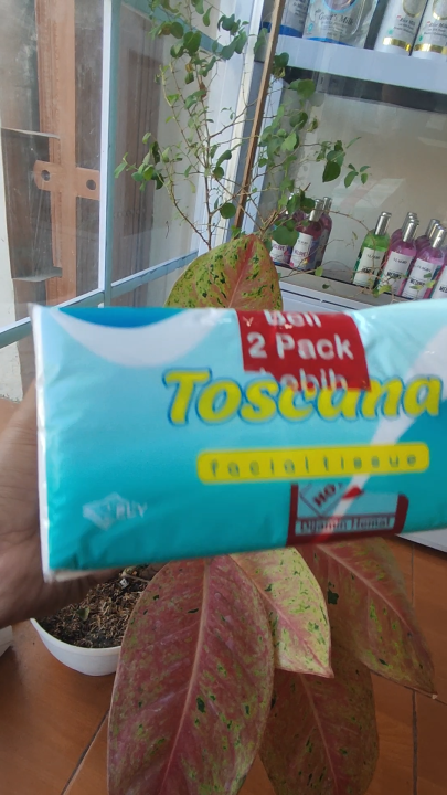 TOSCANA Promo Tisu Murah Gratis Ongkir Beli 1 Gratis 1 180's