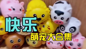 Animal Pullback Mobil Mobilan Hewan