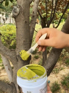 Tree Bonsai Wound Pruning Sealer Plant Cut Paste Pruning Compound Tree Cut Paste Wound Sealant for Tree and Bonsai Tree Wound Dressing Quick Plant Healing Agent Plant Cut Paste Pruning Compound Tree Cut Paste Wound Sealant for Plants Tree Treatment