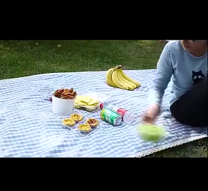 【Ship Today】1PC Mosquito Repellent Fan Leaf Repeller halau lalat Automatic Fly Trap Killer Tabletop Device Catcher Pest Outdoor Table USB Powered Portable Fly Bug Repellent Deterrent Fan for Picnic BBQ