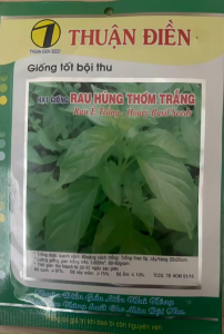 Hạt Giống Rau Húng Thơm Trắng - É Trắng - Rau Lá É - Thuận Điền