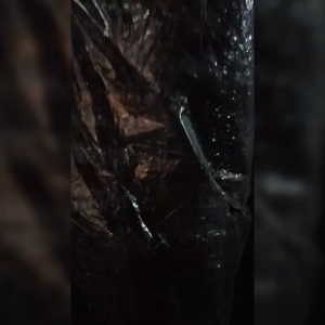 Jaring Paranet 65-75% Lebar 3 Meter: Manfaat & Cara Penggunaan