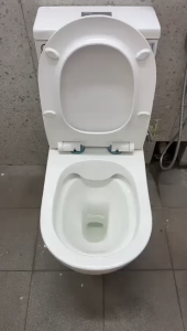 (READY STOCK) Vera A032R One-Piece Toilet Bowl (RIMLESS FLUSHING)