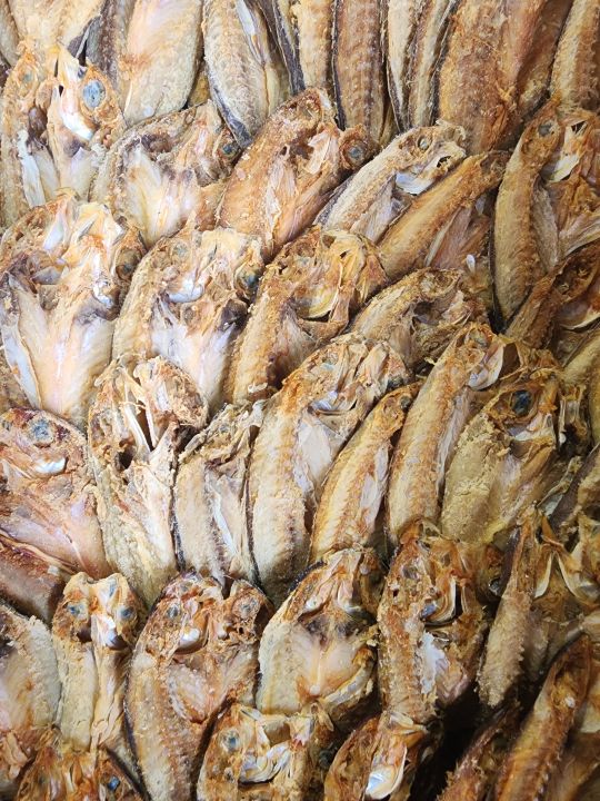 DRIED DALAGANG BUKID 250G Palawan Lazada PH