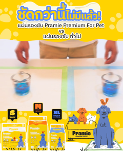 Pramie Premium Training Pad: Size S 33x45 ซม. แผ่นรองซับฝึกขับถ่ายสำหรับสัตว์เลี้ยง เกรดพรีเมี่ยม