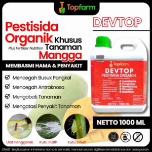 Obat Pembasmi Hama Pohon Mangga