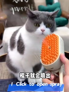 3 in 1 Pet Steamy Brush Self Cleaning Hair Remover Brush for Massage Cat Dog The Flea Removal Pet Grooming Tool Reusable