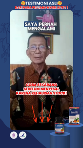 Sendifit - Sendi Fit Asli Terlaris - Isi 50 Kapsul Asli - Obat Herbal Nyeri Lutut BPOM HALAL MUI