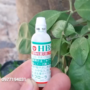 Lọ kích rể HB-101 Nhật Bản giúp tăng trưởng cây xanh lá lọ 6ml-Hàng có tem