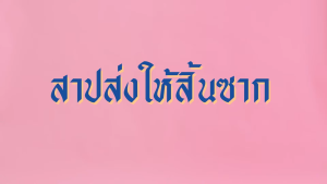 ESSENCE เอสเซ้นซ์ ผลิตภัณฑ์ซักผ้า สูตรลดกลิ่นอับสูตรซักเครื่อง สูตรเข้มข้น ซักชุดชั้นใน และ ปรับผ้านุ่ม