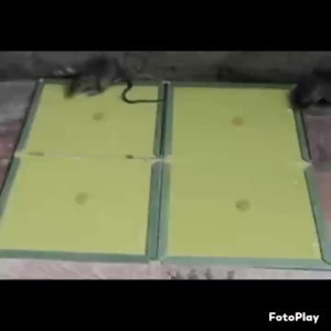 Lem Perangkap Tikus Glue Trap Jebakan Super Lengket Pengendali Hama