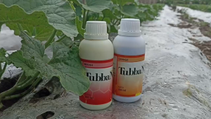 Pupuk Mencegah Rontok Bunga dan Buah 250ML POC TubbaN Merah
