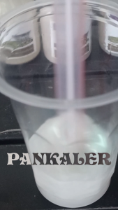 Pankaler Cat Lembayung Mutiara Hijau Green PU Botol Motor Car Epoxy Paint