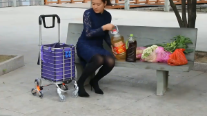 รถเข็นจ่ายตลาด รถเข็นอเนกประสงค์ พับเก็บได้ใส่ของที่ชิ้นใหญ่กว่าได้ ลากขึ้นบันไดได้(แถมถุงผ้า)