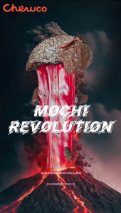 Bakers Japanese Dessert Rice  Mochi Filling In Rice Flavour 1kg