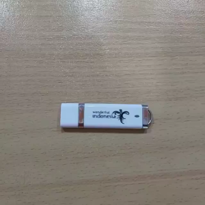 Custom Souvenir Flashdisk Plastik Persegi Panjang FDPL01