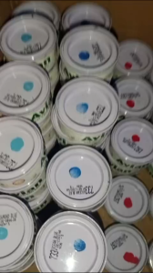 Cat Besi Avian High Gloss & Cat Kayu Berkualitas Tinggi