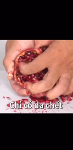 Lược gội đầu Hàn Quốc massage đầu giảm gàu ngứa chất lượng cao gai silicon dùng rất thích