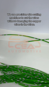 1PCS 2 PIN PERODUA MYVI REAR WHEEL BEARING ABS SOCKET CONNECTOR 2pin