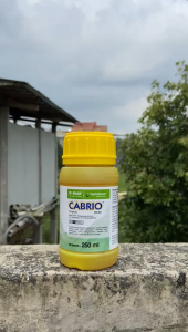 fungisida dan ZPT CABRIO ec 250 ml dr BASF