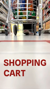 รถเข็นเหล็กชุบโครเมี่ยม รถเข็นเกาหลี รถเข็นพับเก็บได้ รถเข็นอเนกประสงค์ รถเข็นน้ำหนักเบา