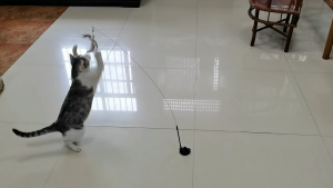 ของเล่นแมวจําลอง แบบโต้ตอบ พร้อมตัวดูดสุญญากาศ ถอดเปลี่ยนได้ แบบเปลี่ยน สําหรับแมว