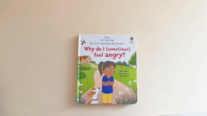 Usborne Lift The Flap Board Book Very First Questions and Answers - Why Do I (somethims) Feel Angry English Picture Book Children Book for Kids Toddler Feeling Emotion Management Enlightenment Reading Book