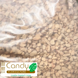 (SG Seller) Diatomite Rock 2L (Usagi)